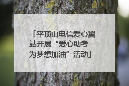 平顶山电信爱心翼站开展“爱心助考 为梦想加油”活动