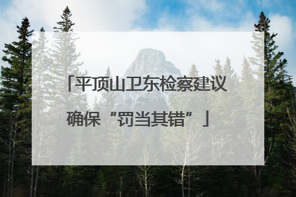 平顶山卫东检察建议确保“罚当其错”
