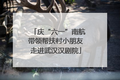 庆“六一”南航带领帮扶村小朋友走进武汉汉剧院