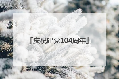 庆祝建党104周年