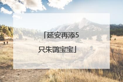 延安再添5只朱鹮宝宝