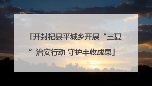 开封杞县平城乡开展“三夏”治安行动 守护丰收成果