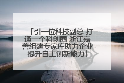 引一位科技副总 打通一个科创圈 浙江嘉善组建专家库助力企业提升自主创新能力