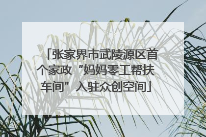 张家界市武陵源区首个家政“妈妈零工帮扶车间”入驻众创空间