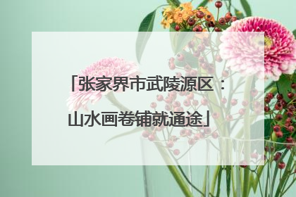 张家界市武陵源区：山水画卷铺就通途