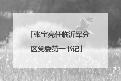 张宝亮任临沂军分区党委第一书记