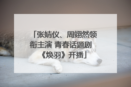 张婧仪、周翊然领衔主演 青春话题剧《焕羽》开播