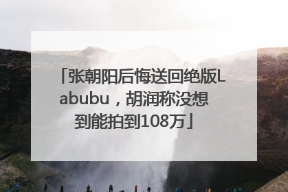 张朝阳后悔送回绝版Labubu，胡润称没想到能拍到108万