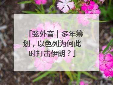 弦外音｜多年筹划，以色列为何此时打击伊朗？