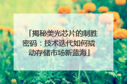 揭秘美光芯片的制胜密码：技术迭代如何撬动存储市场新蓝海