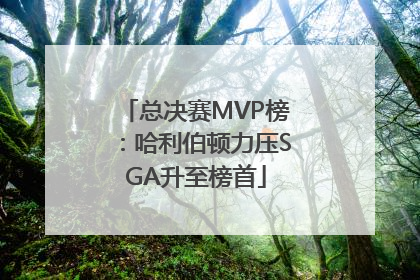总决赛MVP榜：哈利伯顿力压SGA升至榜首