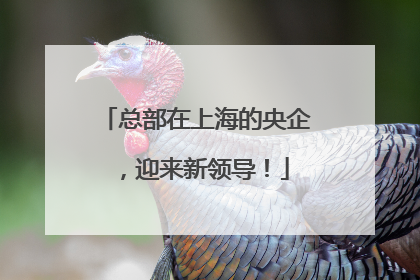 总部在上海的央企，迎来新领导！