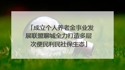 成立个人养老金事业发展联盟聊城全力打造多层次便民利民社保生态