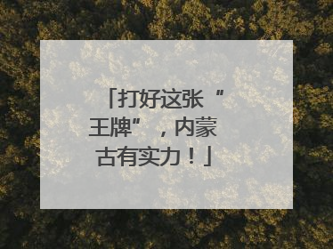 打好这张“王牌”，内蒙古有实力！