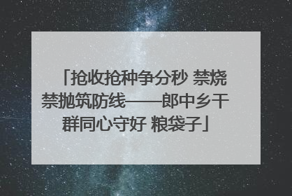 抢收抢种争分秒 禁烧禁抛筑防线——郎中乡干群同心守好 粮袋子