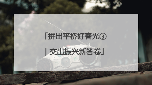 拼出平桥好春光③｜交出振兴新答卷