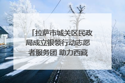拉萨市城关区民政局成立银领行动志愿者服务团 助力西藏银发经济发展