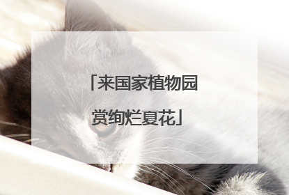 来国家植物园 赏绚烂夏花
