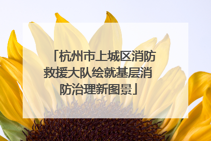 杭州市上城区消防救援大队绘就基层消防治理新图景