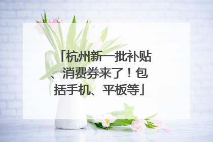 杭州新一批补贴、消费券来了！包括手机、平板等
