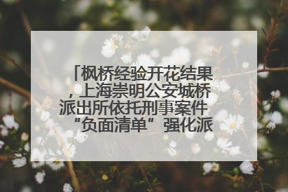 枫桥经验开花结果，上海崇明公安城桥派出所依托刑事案件“负面清单”强化派出所“主防”