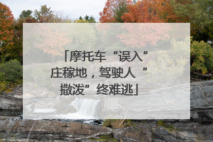 摩托车“误入”庄稼地，驾驶人“撒泼”终难逃