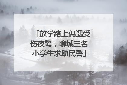 放学路上偶遇受伤夜鹭，聊城三名小学生求助民警