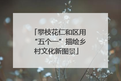 攀枝花仁和区用“五个一”描绘乡村文化新图景