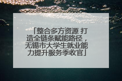 整合多方资源 打造全链条赋能路径，无锡市大学生就业能力提升服务季收官