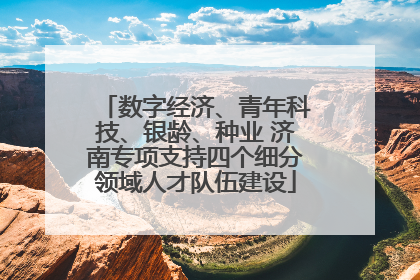 数字经济、青年科技、银龄、种业 济南专项支持四个细分领域人才队伍建设
