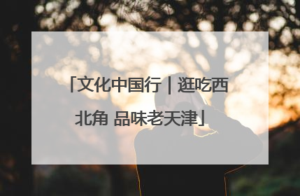 文化中国行｜逛吃西北角 品味老天津