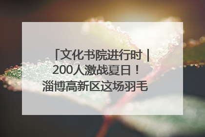 文化书院进行时｜200人激战夏日！淄博高新区这场羽毛球比赛太酷