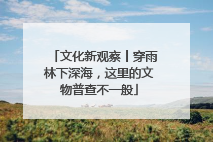 文化新观察丨穿雨林下深海，这里的文物普查不一般