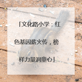 文化路小学：红色基因薪火传，榜样力量润童心