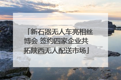 新石器无人车亮相丝博会 签约四家企业共拓陕西无人配送市场