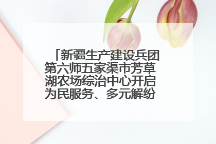 新疆生产建设兵团第六师五家渠市芳草湖农场综治中心开启为民服务、多元解纷“超市”新体验