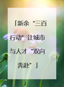 新余“三百行动”让城市与人才“双向奔赴”