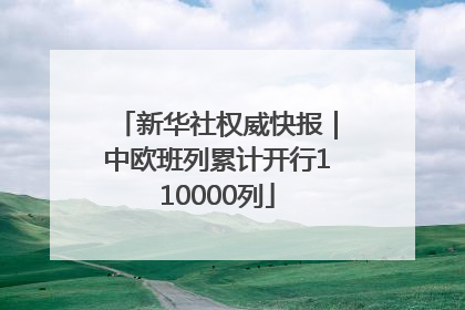新华社权威快报｜中欧班列累计开行110000列