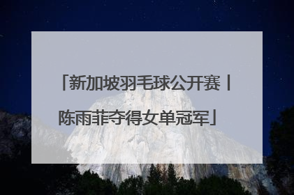 新加坡羽毛球公开赛丨陈雨菲夺得女单冠军