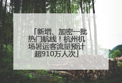 新增、加密一批热门航线！杭州机场暑运客流量预计超910万人次