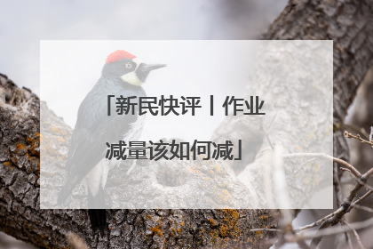新民快评丨作业减量该如何减