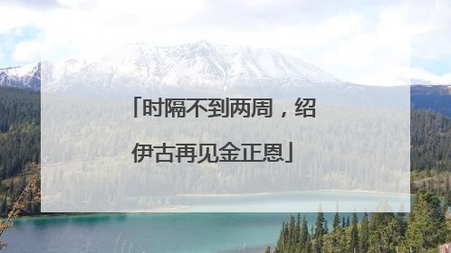 时隔不到两周，绍伊古再见金正恩