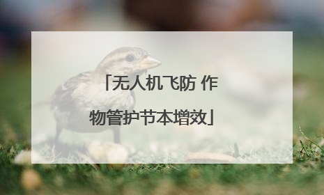 无人机飞防 作物管护节本增效