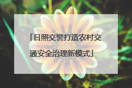日照交警打造农村交通安全治理新模式
