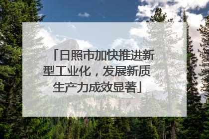 日照市加快推进新型工业化，发展新质生产力成效显著