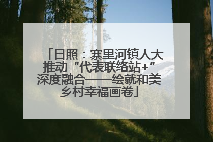 日照：寨里河镇人大推动“代表联络站+”深度融合——绘就和美乡村幸福画卷