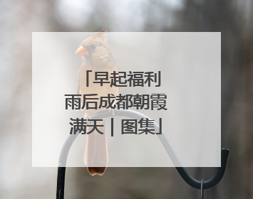 早起福利 雨后成都朝霞满天｜图集