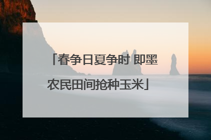 春争日夏争时 即墨农民田间抢种玉米