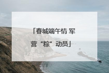 春城端午情 军营“粽”动员