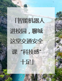 智能机器人进校园，聊城这堂交通安全课“科技感”十足